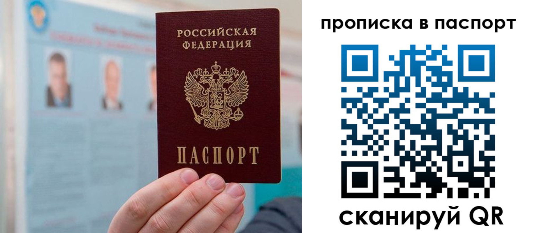 прописка гарантия в Клинцах